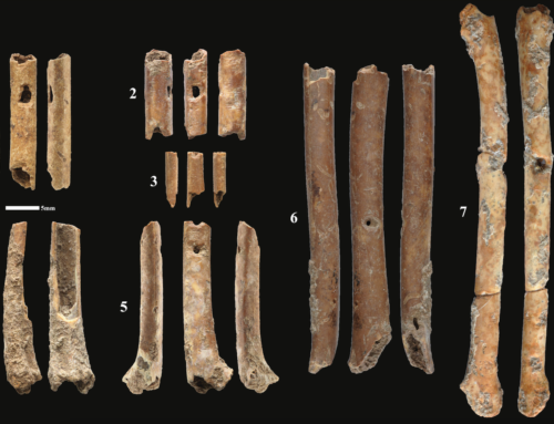 ARCHÉOLOGIE : Les premiers instruments sonores préhistoriques découverts au Levant (Eynan-Mallaha, juin 2023).