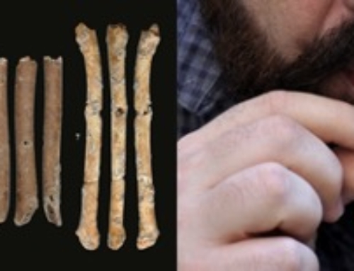 Paleolithic flutes from Eynan-Mallaha (Israel): A little music 12,000 years old