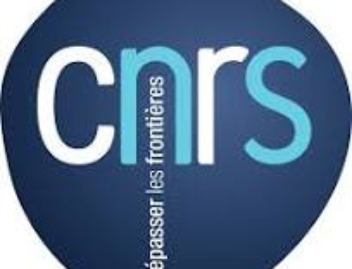 Soutien à la Mobilité Internationale 2026 CNRS Sciences humaines & sociales (date limite 30 septembre 2025)