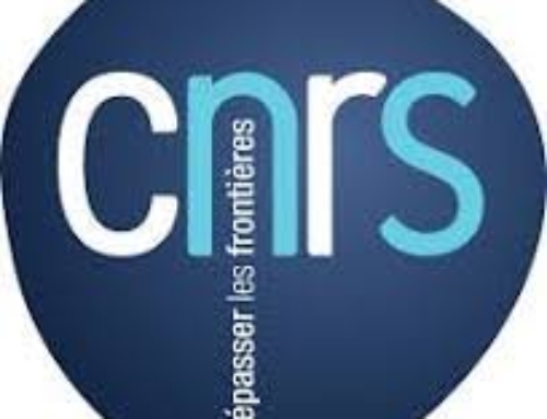 Soutien à la Mobilité Internationale 2026 CNRS Sciences humaines & sociales (DEADLINE 30 septembre 2025)