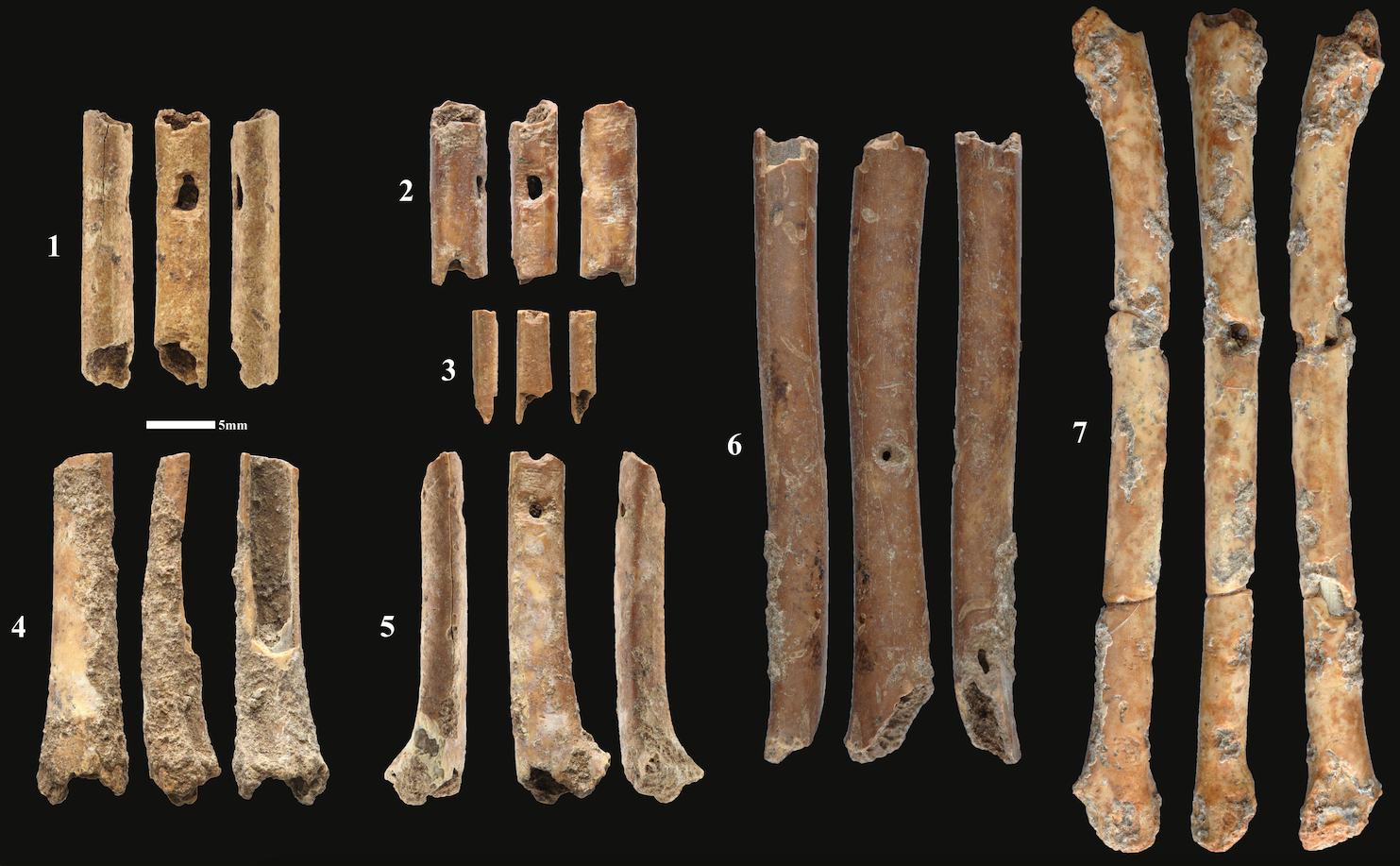 ARCHÉOLOGIE : Les premiers instruments sonores préhistoriques découverts au Levant (Eynan-Mallaha, juin 2023).