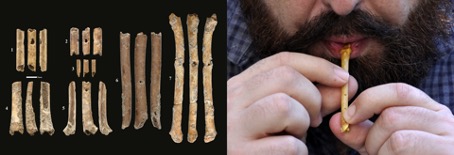 Paleolithic flutes from Eynan-Mallaha (Israel): A little music 12,000 years old